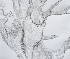 Tree, 29x40, ink-drawing, paper, 2017