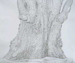Tree & water, 29x40, inkdrawing, paper 2015