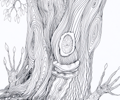 Hard tree, 20x29, inkdrawing, paper, 2015