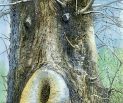 Ooh-tree, 20x29, print, aquarele, paper, 2017